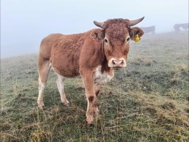 Tout vient à point à qui sait attendre