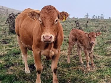 Tout vient à point à qui sait attendre