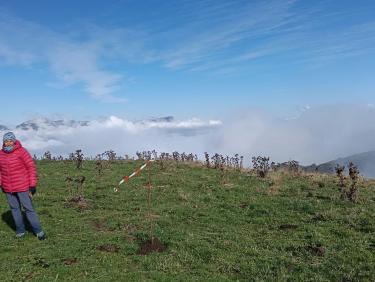 Tout vient à point à qui sait attendre