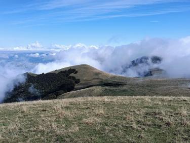 Tout vient à point à qui sait attendre