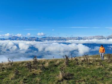 Tout vient à point à qui sait attendre