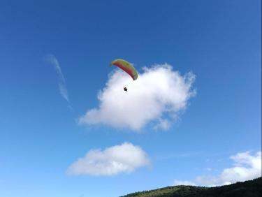 Tout vient à point à qui sait attendre