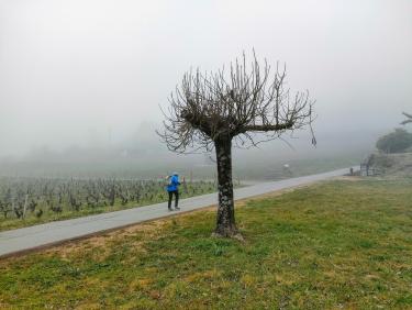 Tout vient à point à qui sait attendre 