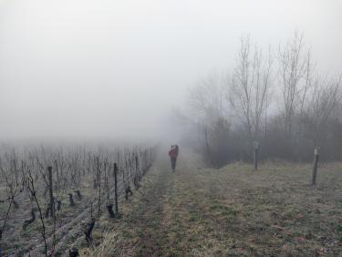 Tout vient à point à qui sait attendre 