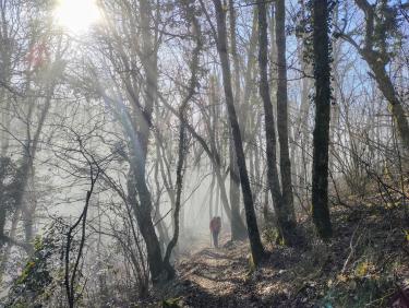 Tout vient à point à qui sait attendre 