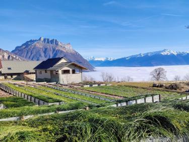 Tout vient à point à qui sait attendre 