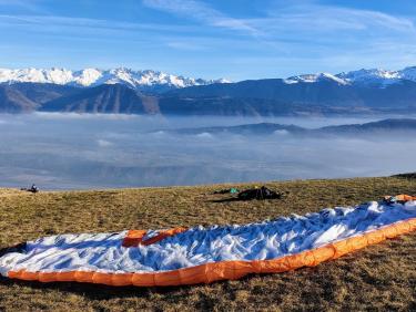 Tout vient à point à qui sait attendre 