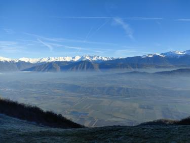 Tout vient à point à qui sait attendre 