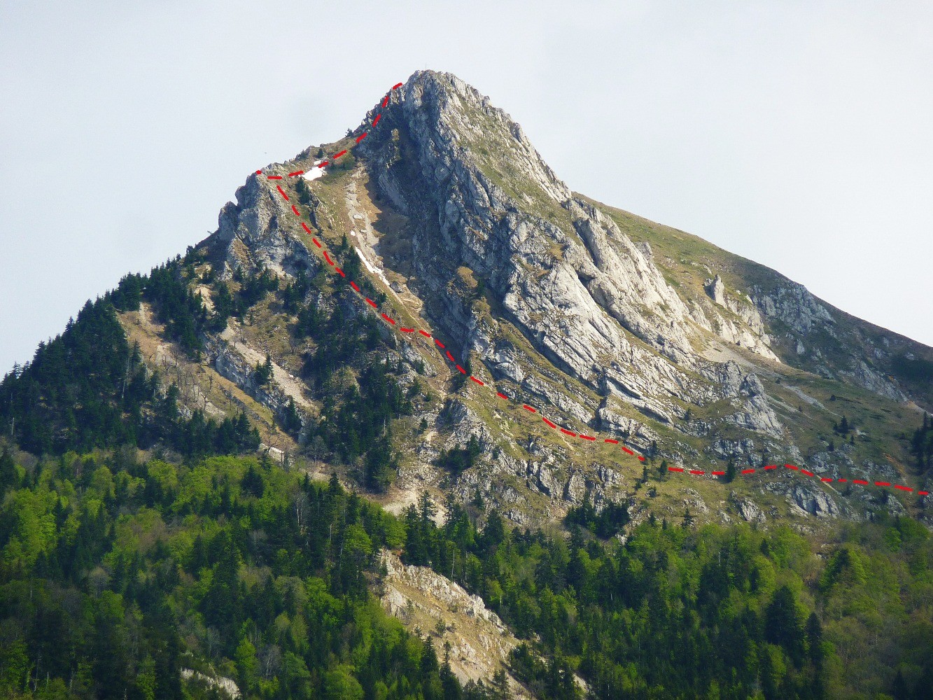 TracÃ© de l'itinÃ©raire dans le versant nord du Rognon