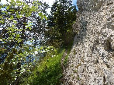 Trace excellente, mais vire trÃ¨s pentue et peu large....