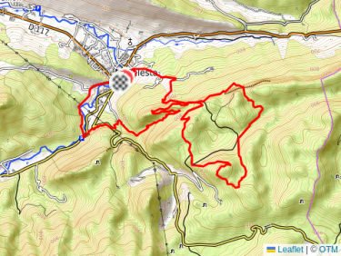 Trail cool sur les traces de la forêt royale