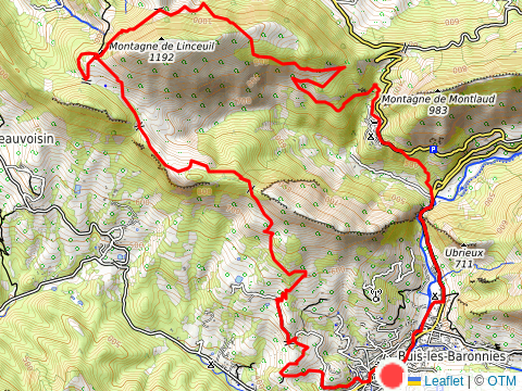 Trail le matin