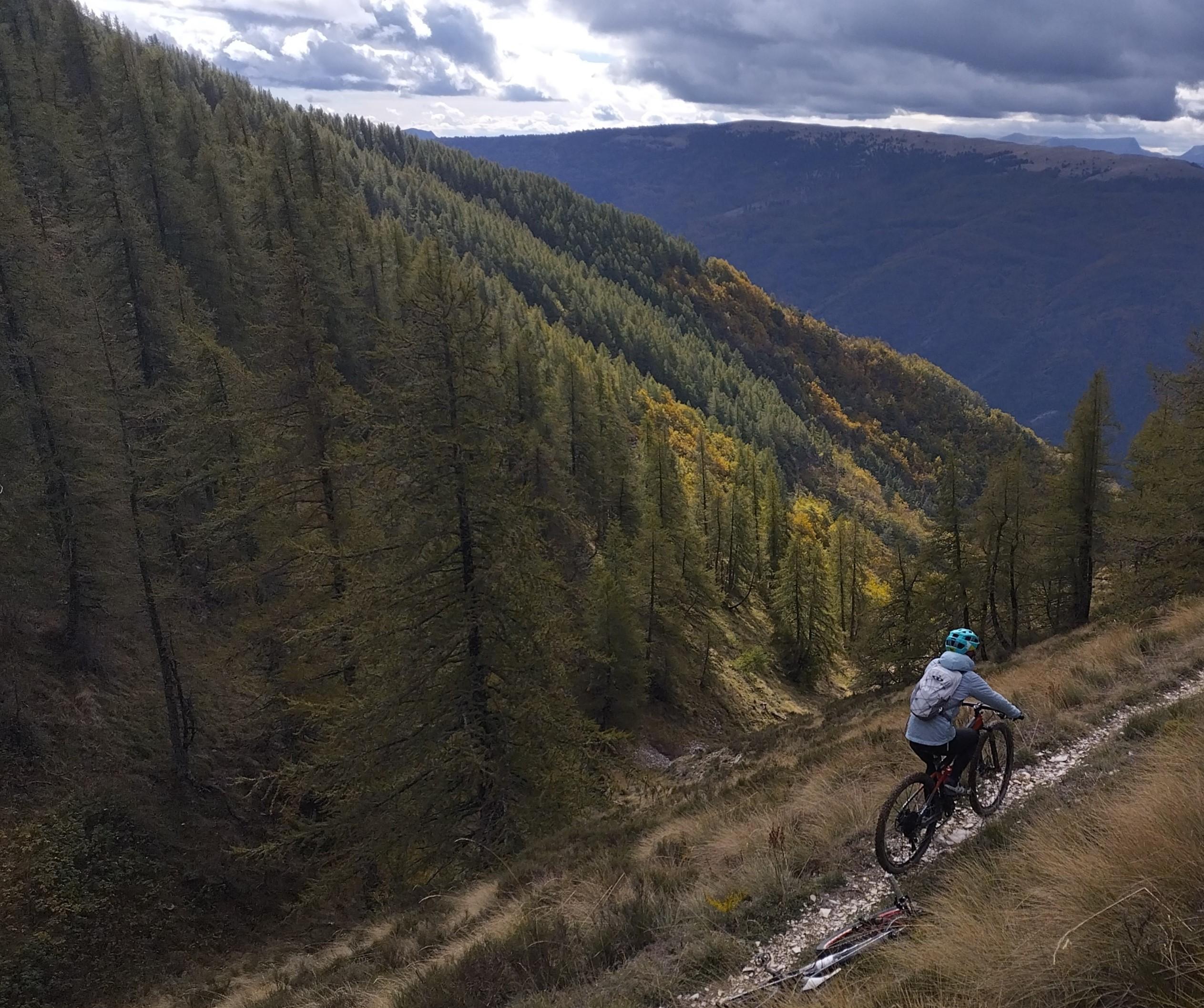 .trashed-1701152695-IMG_20231025_143721615