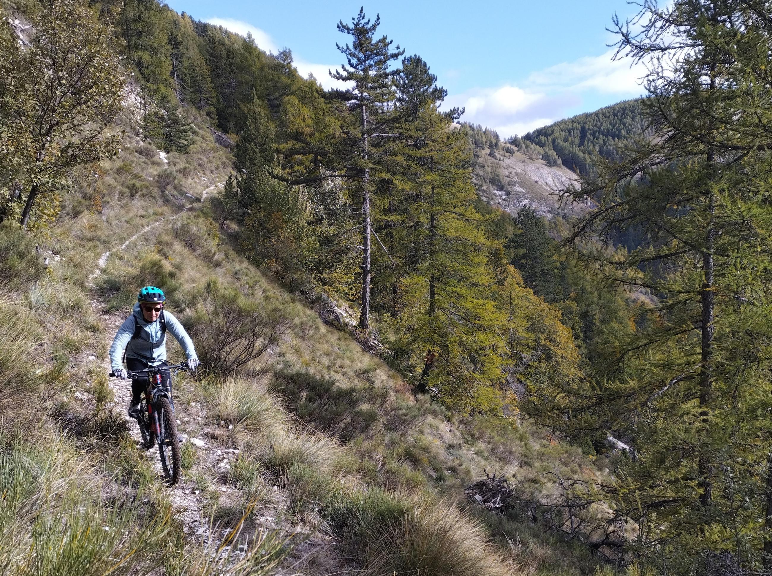 .trashed-1701152695-IMG_20231025_144906708