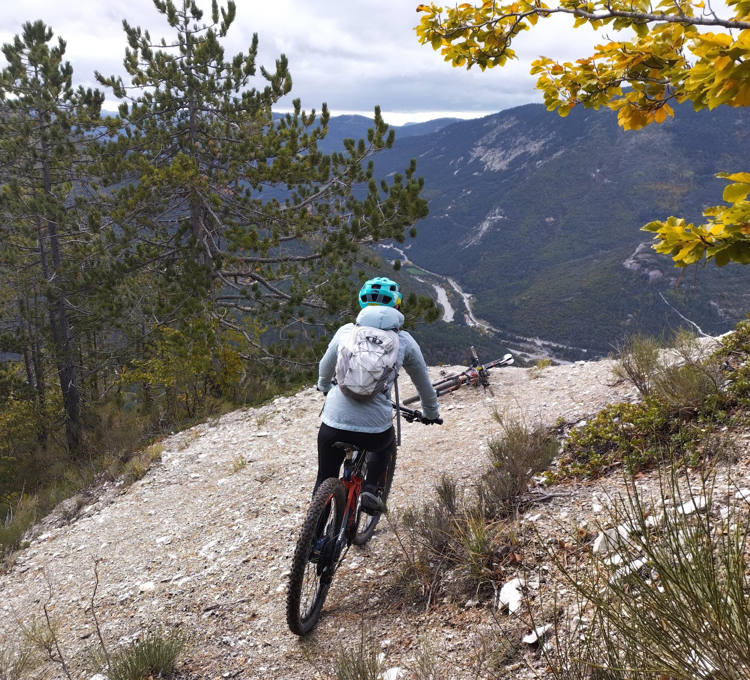 .trashed-1701152695-IMG_20231025_145631689