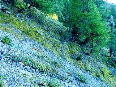 TraversÃ©e du ravin