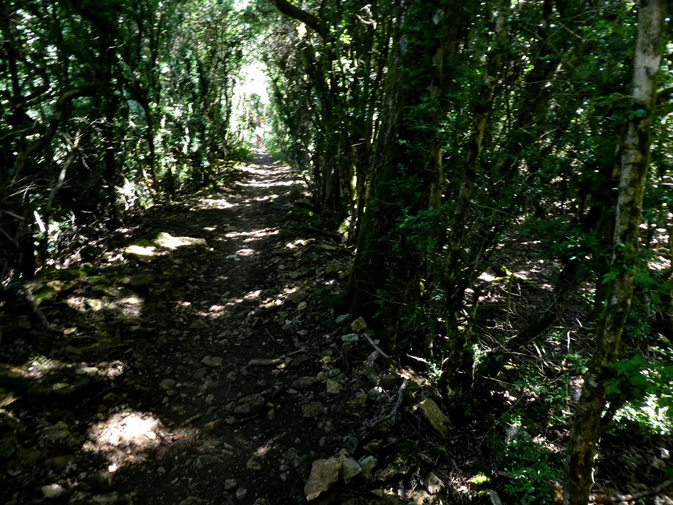 Très beau chemin de crête