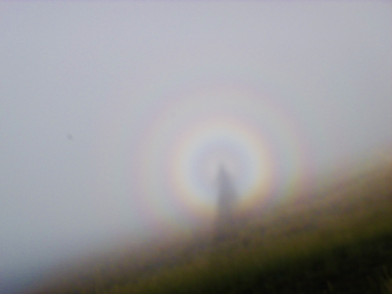 Gros plan flou sur le spectre