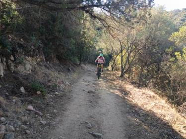 Balade bord de mer, baignade et retour maquis sanglier