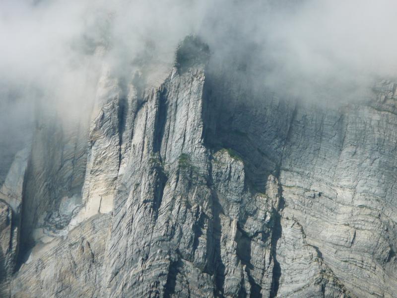 Un détail de la falaise