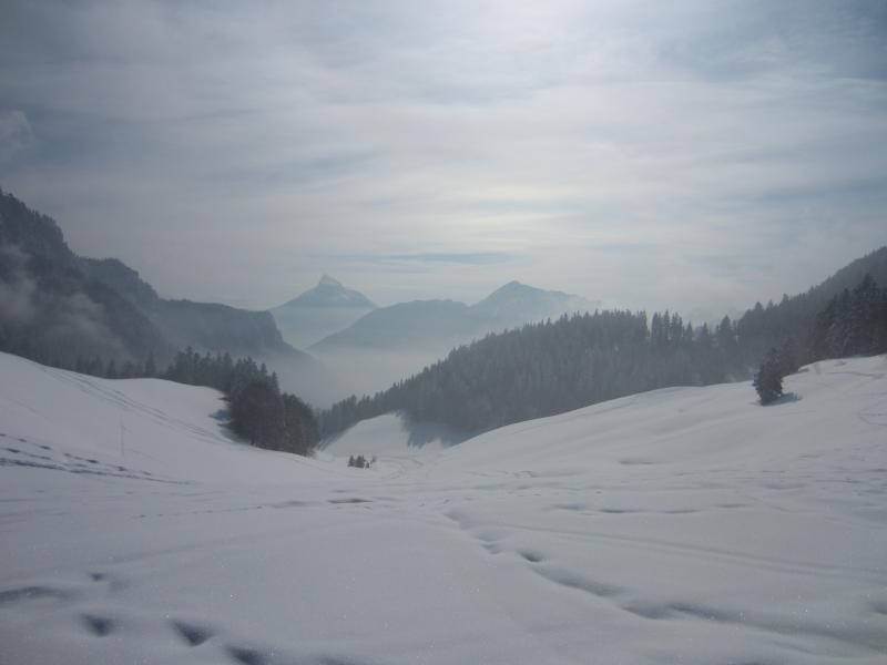 Un peu laiteux au col de la Ruchère