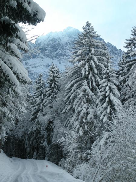 Une belle journée en perspective !