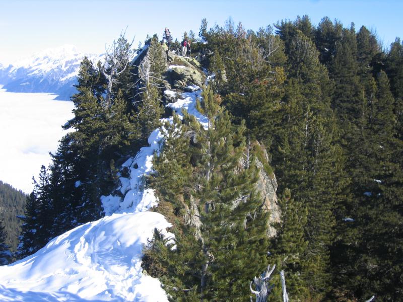Une crête escarpée; sur la piste des chamois