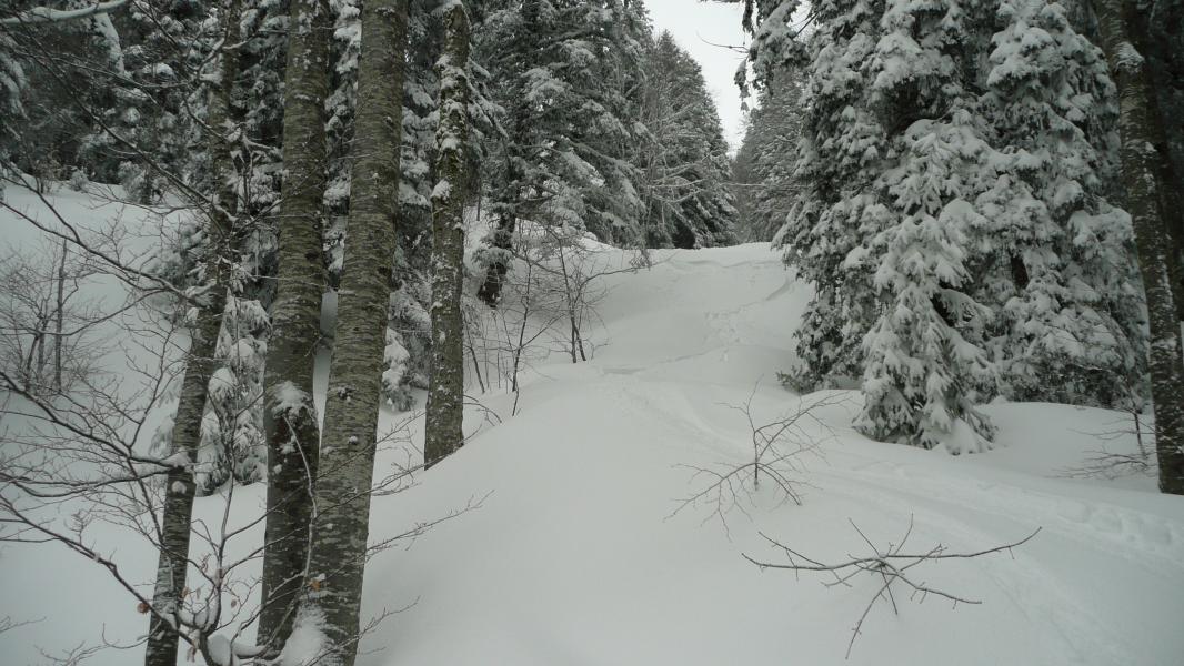 Une neige de folie !