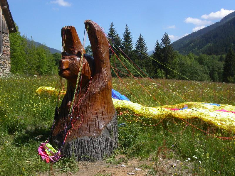 Ours Volant (Ursus parapentix)