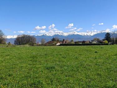 Balade dans le quartier