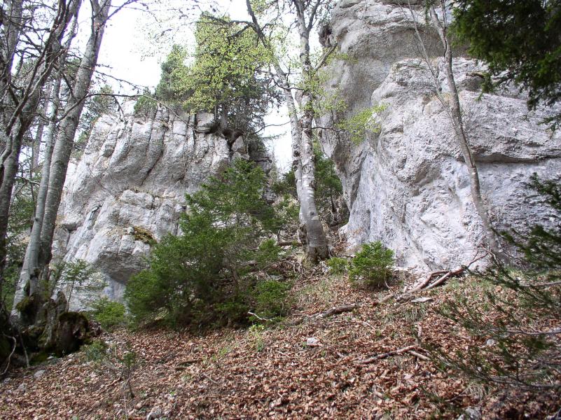 ultime cheminée avant le plateau de l'Alpette