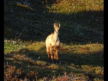 Un bivouac inoubliable 