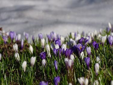 Un bivouac inoubliable 