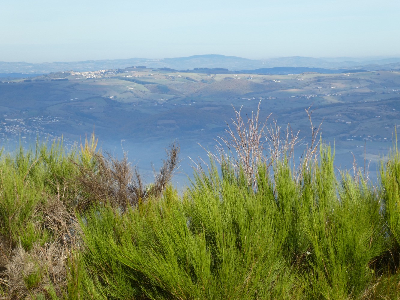 Un bout des Monts du Lyonnais 