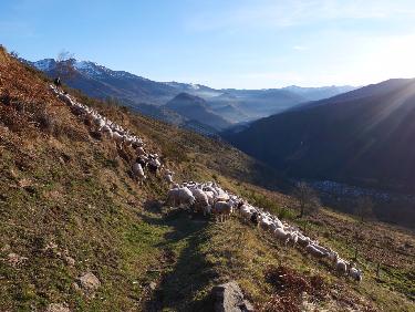 Un décollage à l’arrache