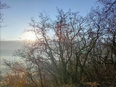 Un début d'année épatant à Montlambert 