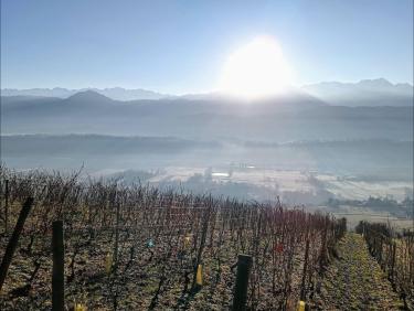 Un début d'année épatant à Montlambert 