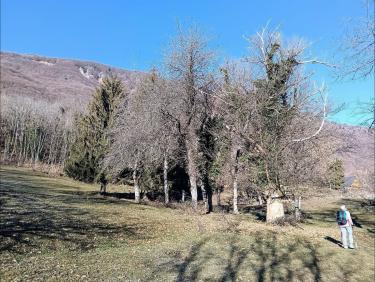 Un début d'année épatant à Montlambert 