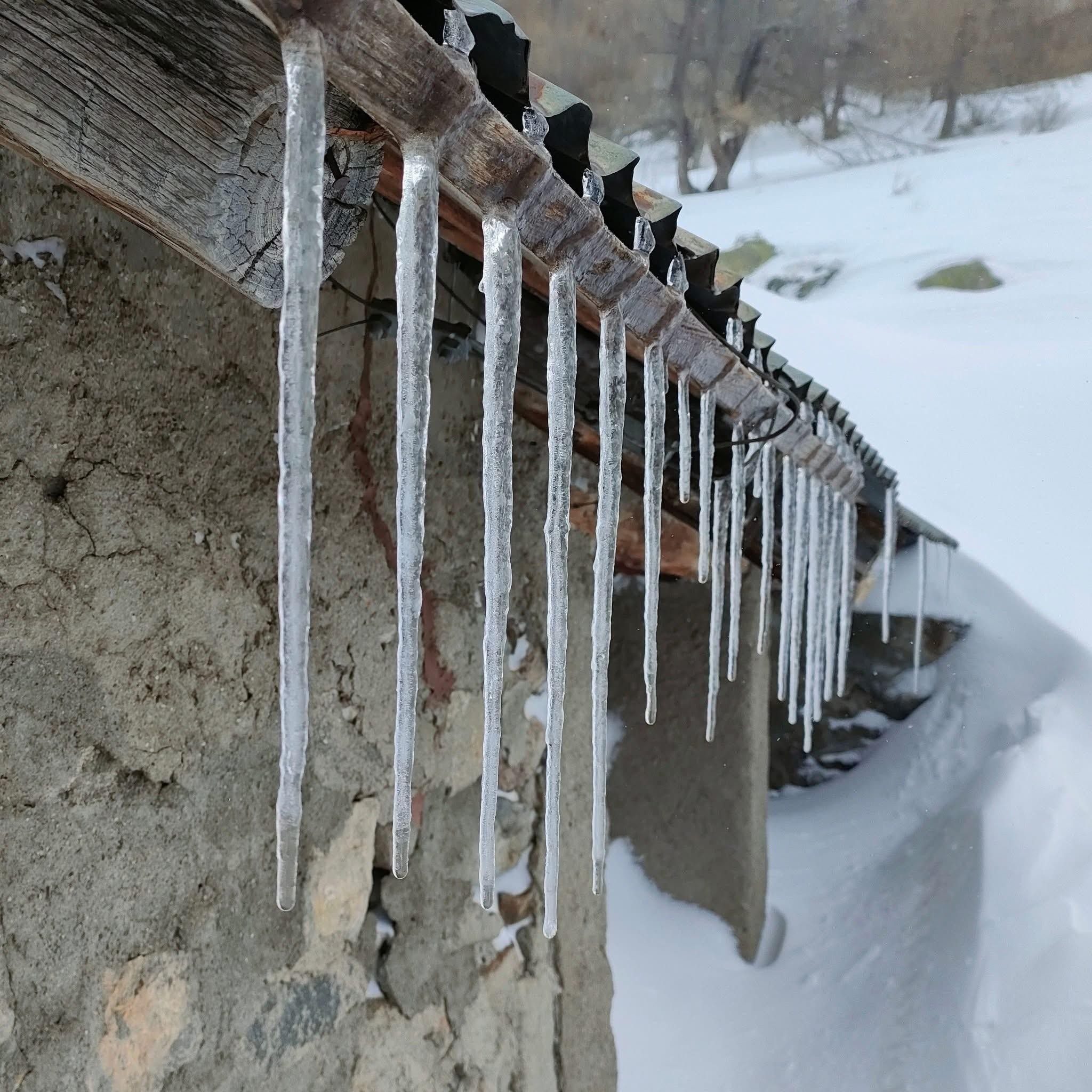 Un froid sibérien 