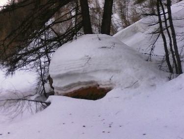 un gateau appÃ©tissant ?