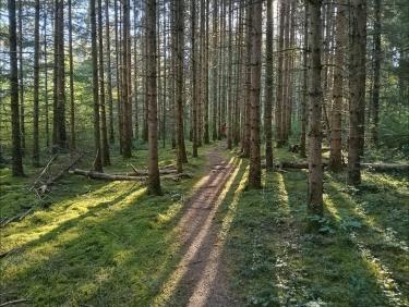 Un Parcours magnifique 