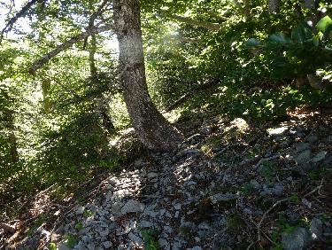 Un peu de fraicheur entre deux pierriers