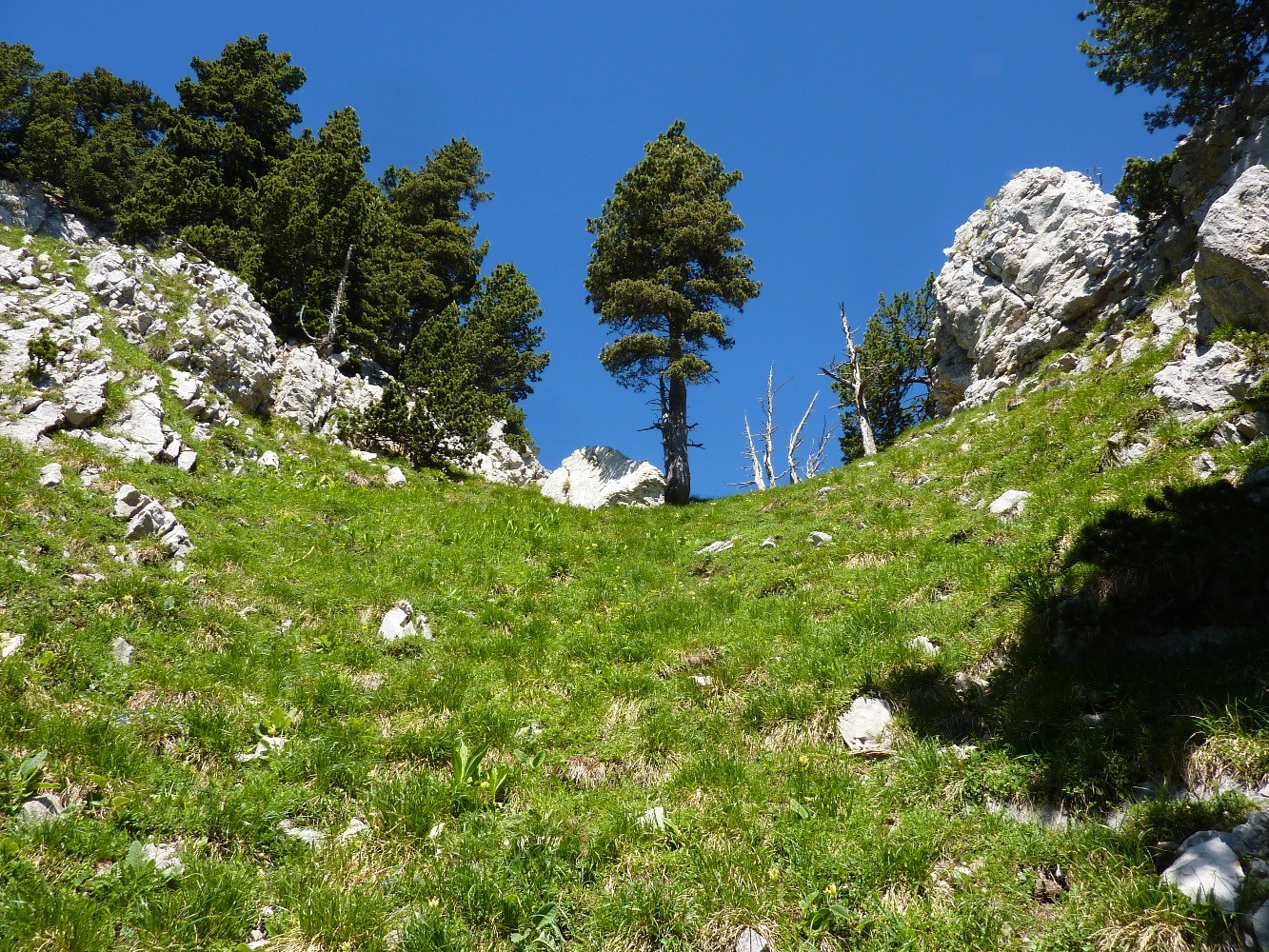 Un peu plus loin, en montant : tout est beau, ici...