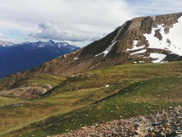 un "scorpion " blanc au milieu de la photo