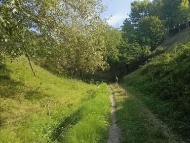 Un sentier bucolique 