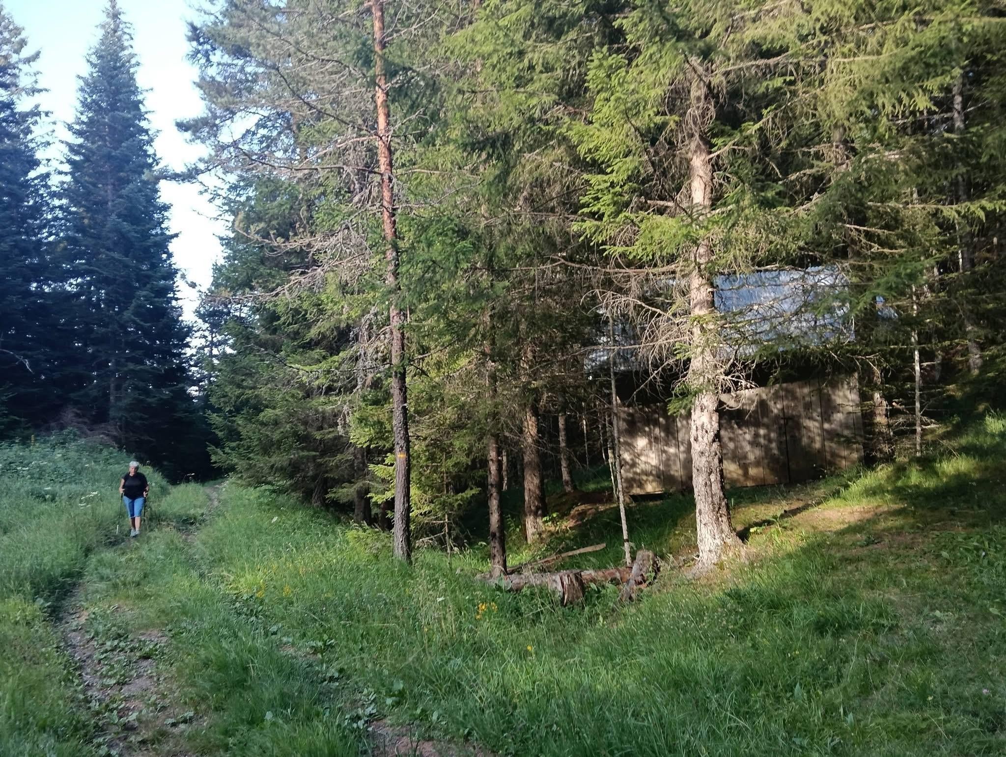 Un sentier sauvage