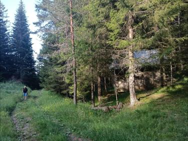 Un sentier sauvage