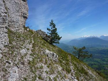 Un super dÃ©cor, vraiment.