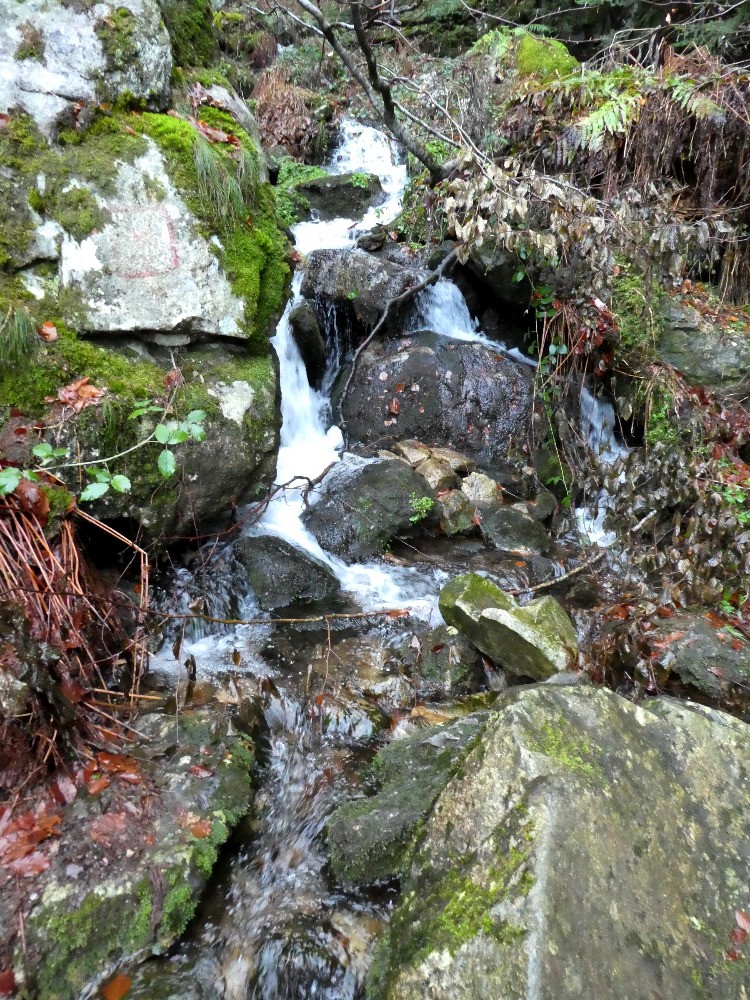 un tout petit saut du Gier