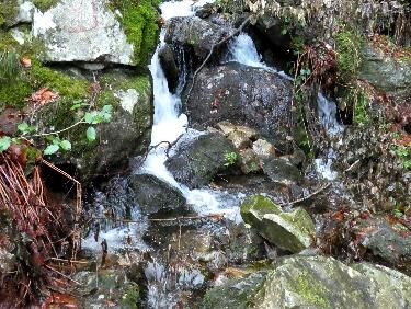 un tout petit saut du Gier